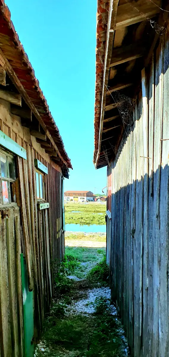 Arcachon – ciudad diversa – visita guiada con Bruno Saint-Clair, GentleGuide