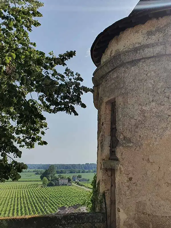 Château et vignes à Saint-Émilion, étape d'une visite guidée GentleGuide