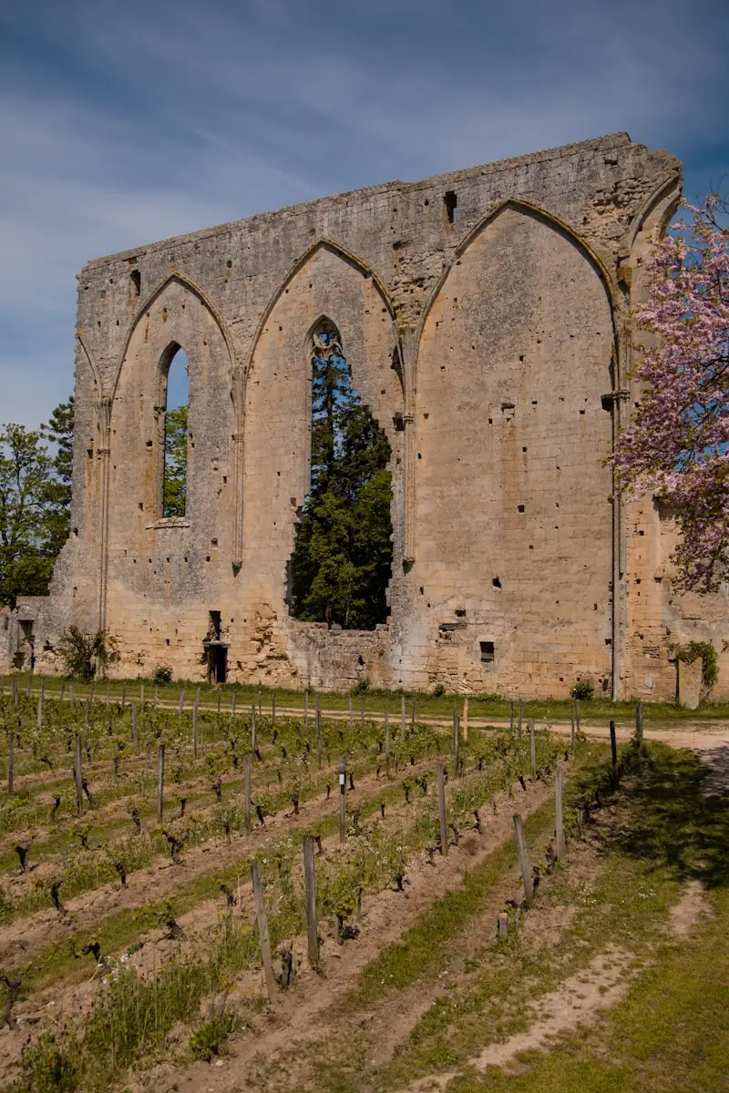 Les Grandes Murailles de Saint-Émilion, vestige gothique au milieu des vignes